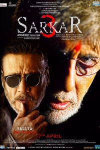 Sarkar 3 (2017)