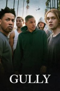 Gully (2019)