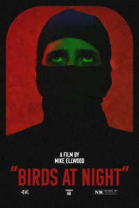 Birds at Night (2024)